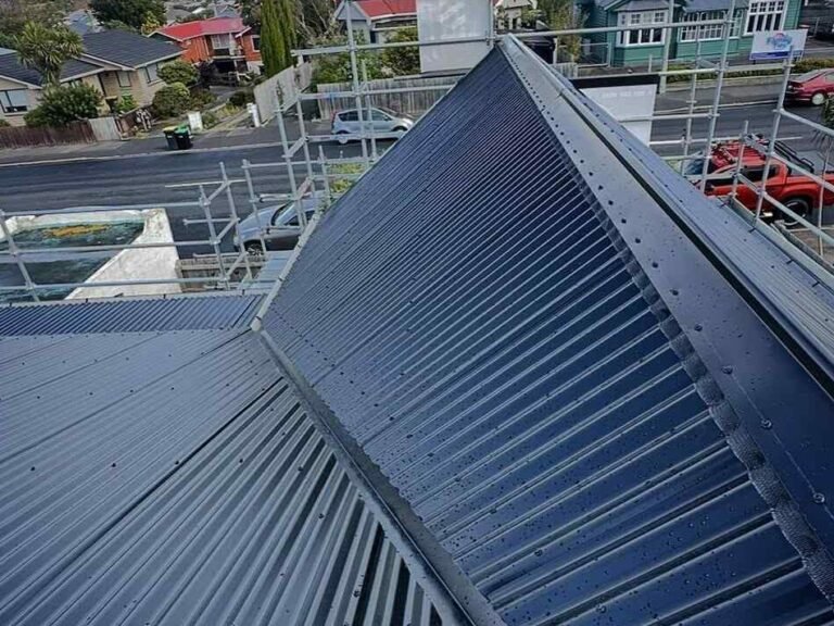 roof craft dunedin
