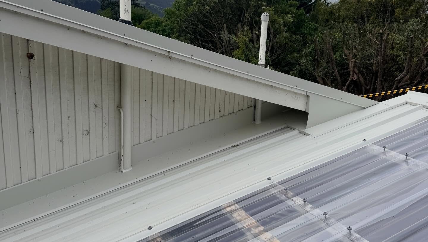 New eave flashing and translucent lean-to sheeting on a reroof in Macandrew Bay, Dunedin
