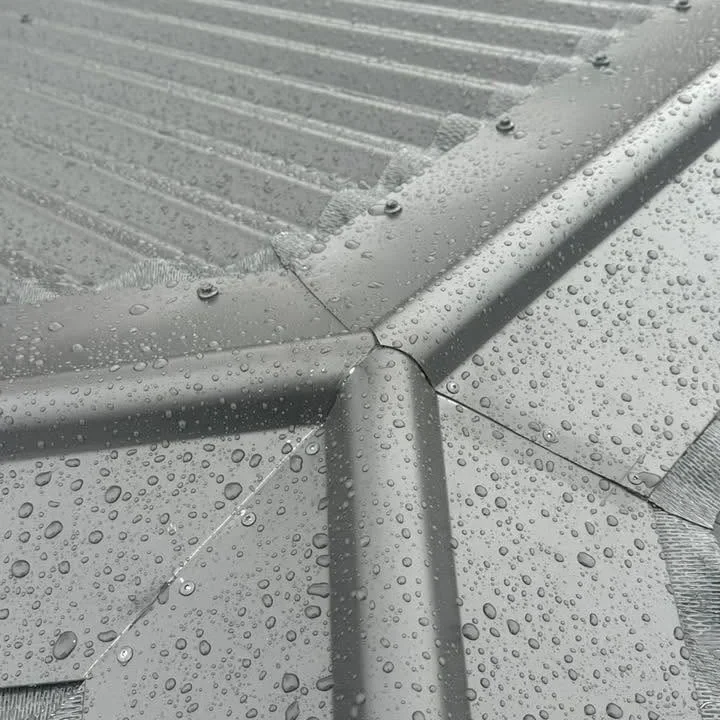 commercial roofing service in dunedin nz